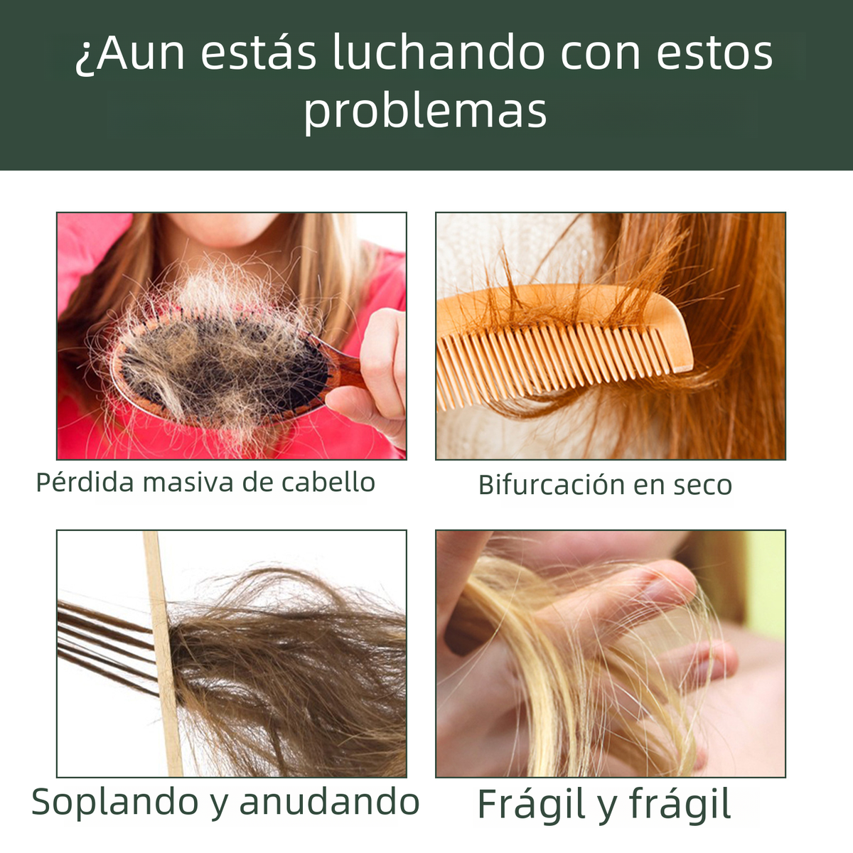 https://static.hzpdex.com/059d03f8-9e72-471c-b2d5-12527d7af2c4.png