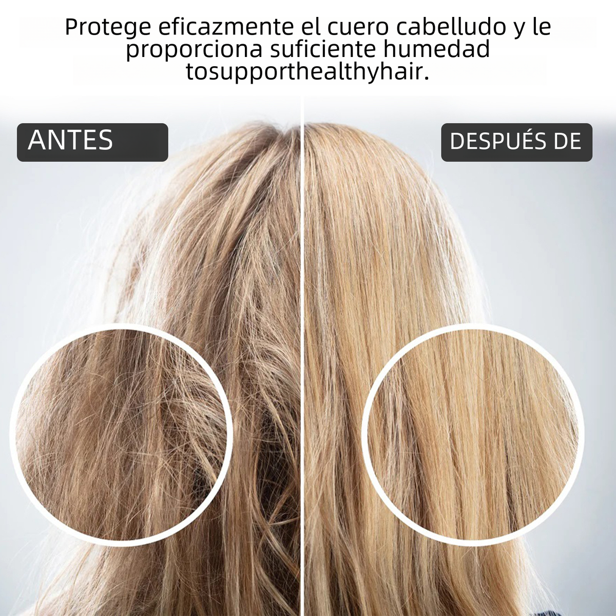 https://static.hzpdex.com/6f1eef94-11e8-4ee2-a3f7-baf205a429fc.png