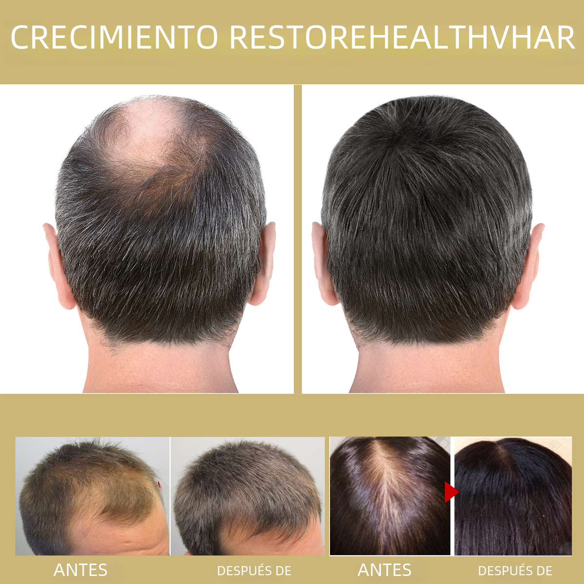 https://static.hzpdex.com/755be7b3-fce4-4041-b583-0c2181306a84.png